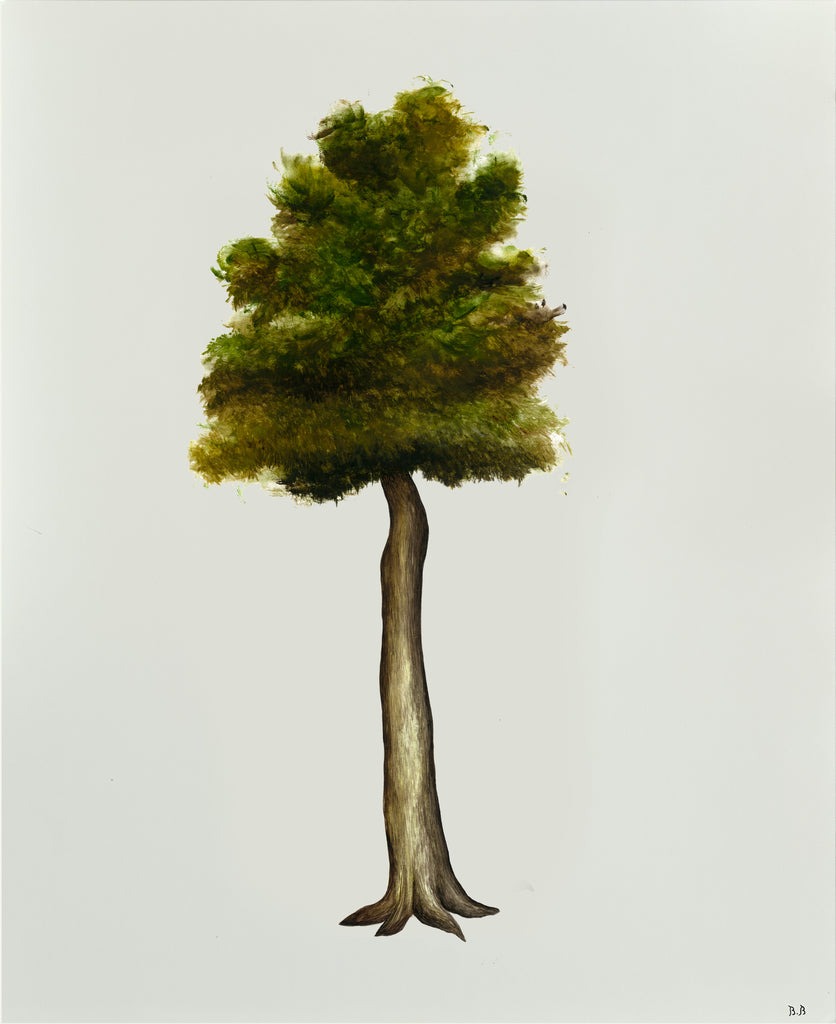 Arbre imaginaire
