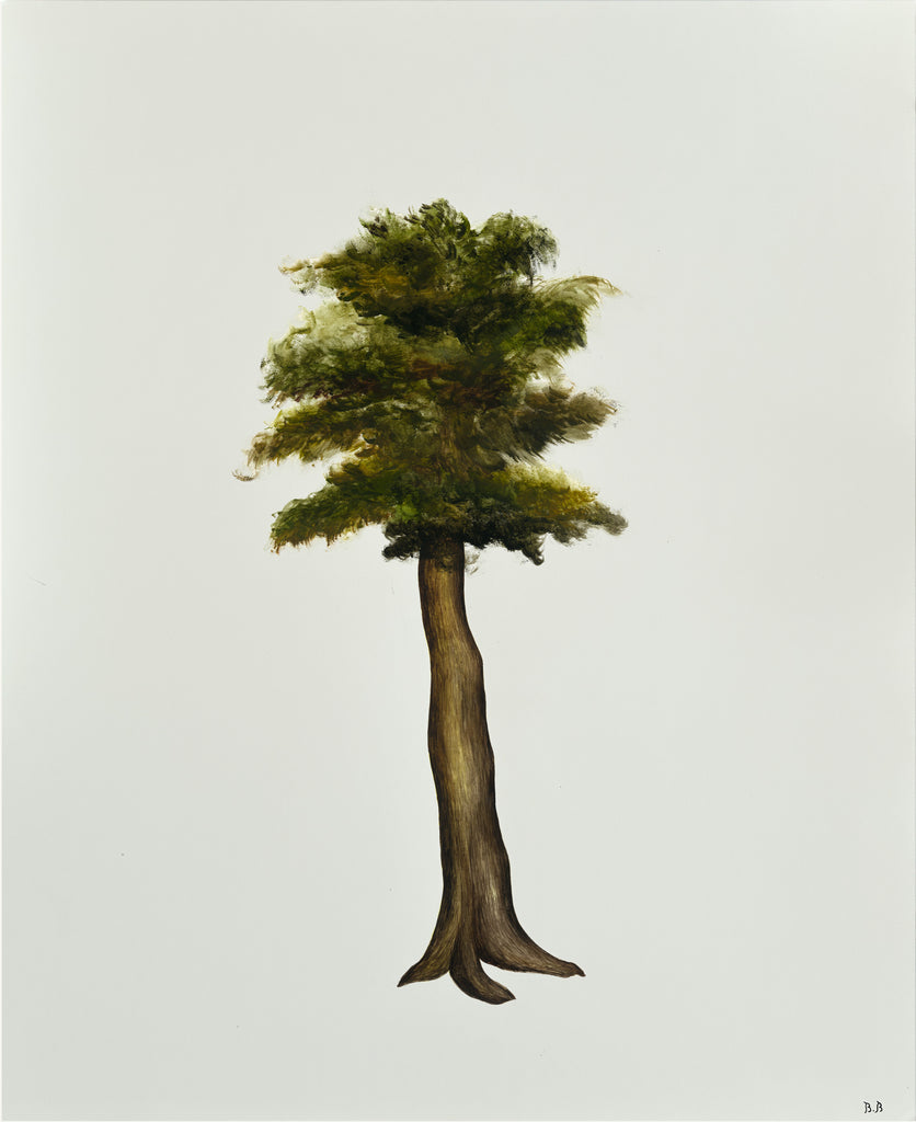 Arbre imaginaire