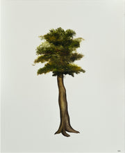 Load image into Gallery viewer, Arbre imaginaire