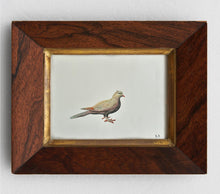 Load image into Gallery viewer, Etude d'un oiseau