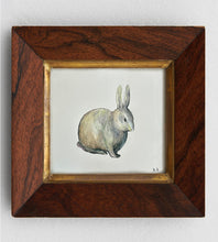 Load image into Gallery viewer, Etude d'un lapin