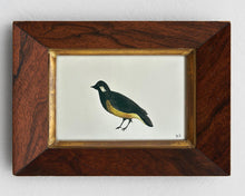 Load image into Gallery viewer, Etude d'un oiseau