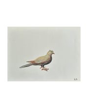 Load image into Gallery viewer, Etude d'un oiseau